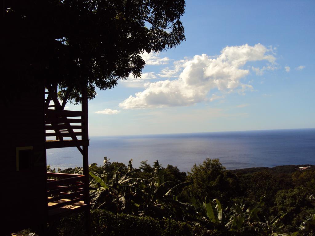 Ferienhaus Guadeloupe-paradisio Pointe-Noire